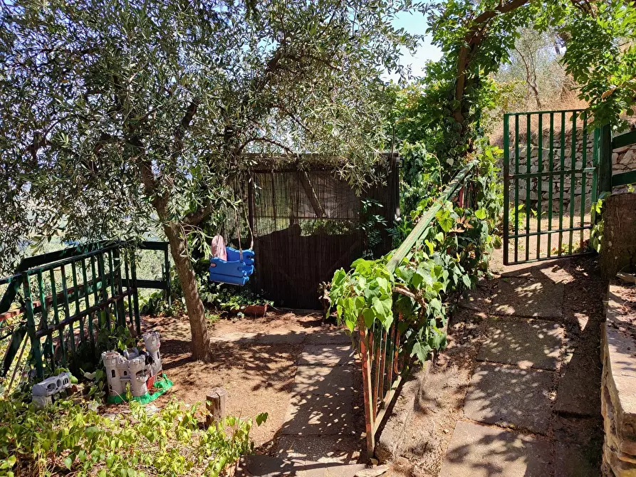 Immagine 5 di Baita in vendita  a Vicopisano