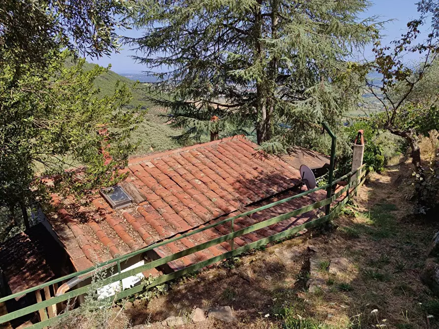 Immagine 22 di Baita in vendita  a Vicopisano