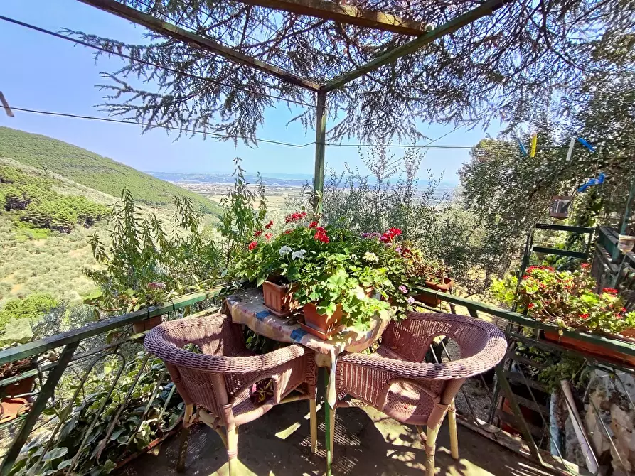 Immagine 4 di Baita in vendita  a Vicopisano