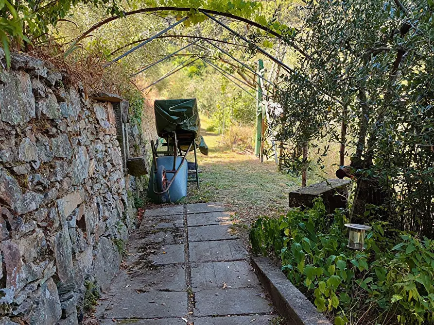 Immagine 23 di Baita in vendita  a Vicopisano