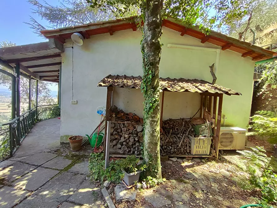 Immagine 21 di Baita in vendita  a Vicopisano