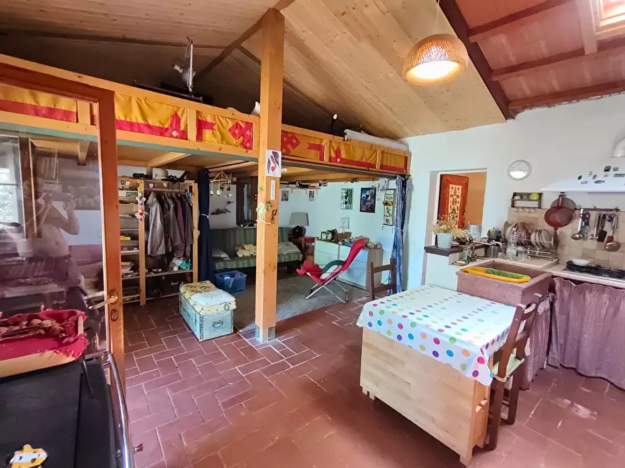 Immagine 11 di Baita in vendita  a Vicopisano