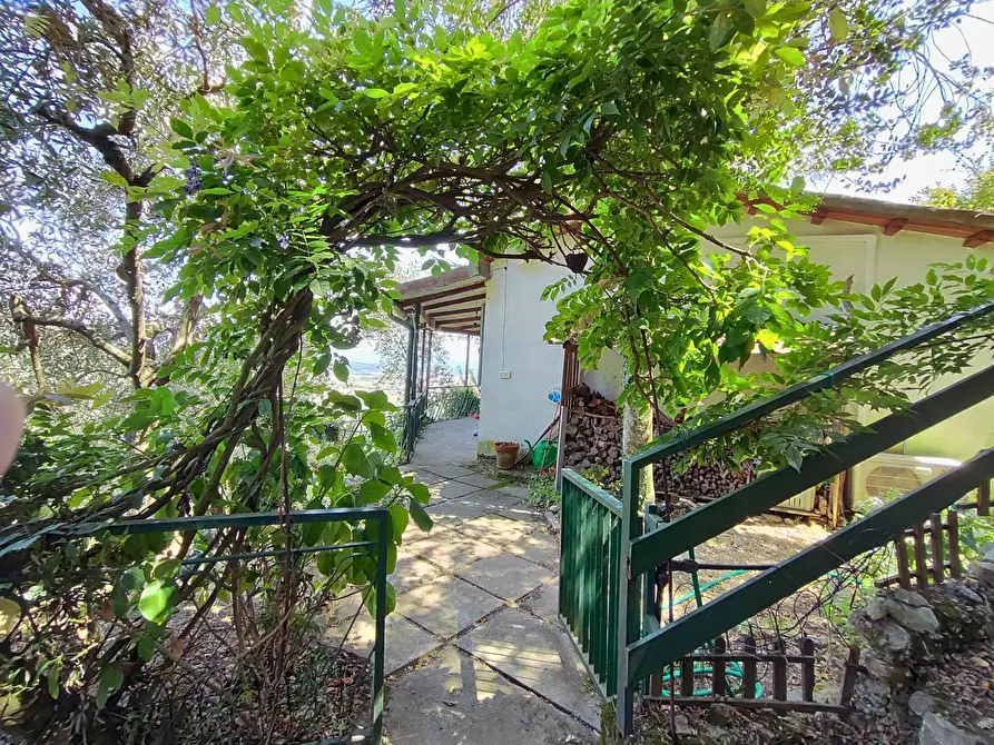 Immagine 20 di Baita in vendita  a Vicopisano