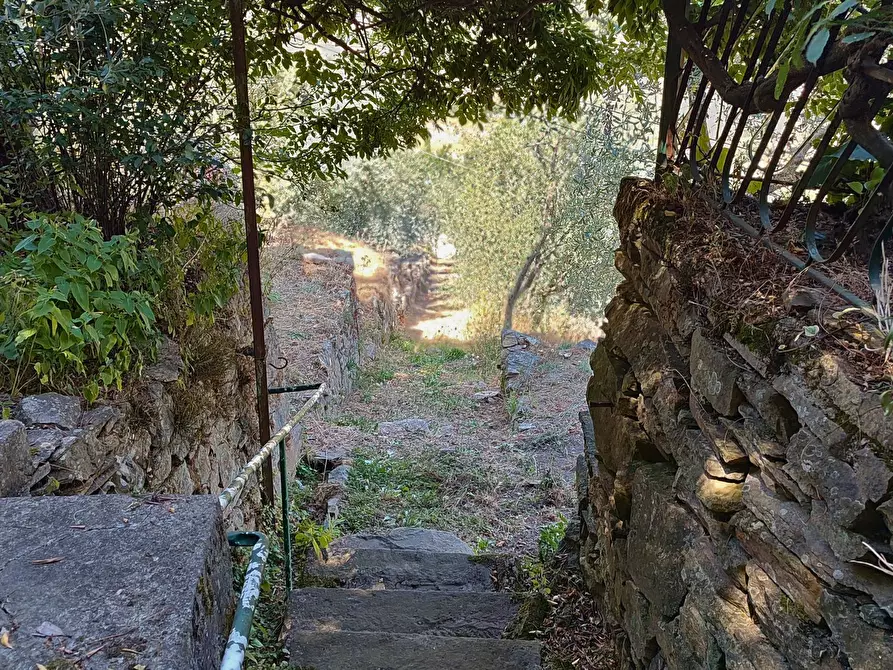 Immagine 24 di Baita in vendita  a Vicopisano