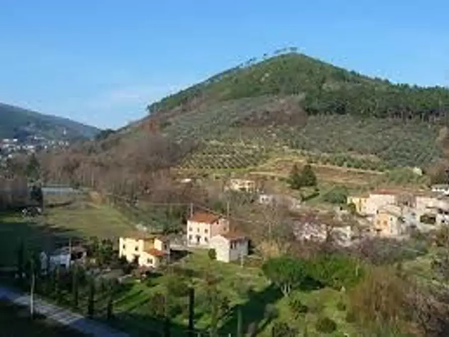 Immagine 15 di Villa in vendita  a Capannori