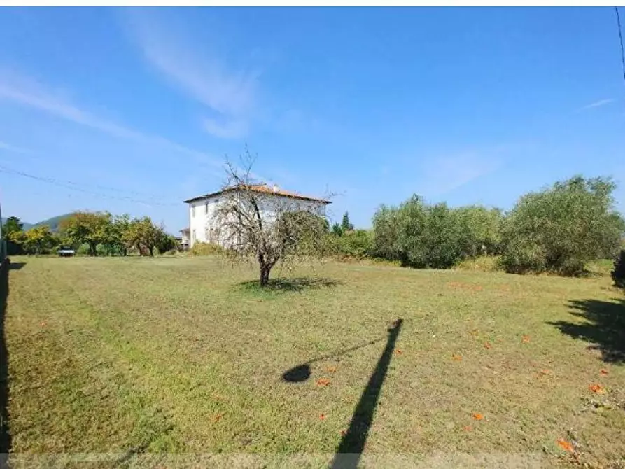 Immagine 19 di Villa in vendita  a Capannori