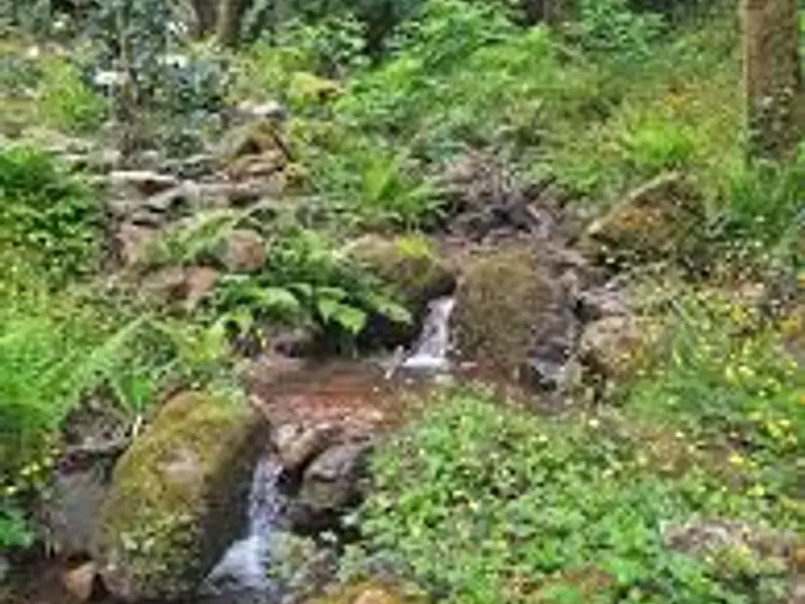 Immagine 33 di Villa in vendita  a Capannori