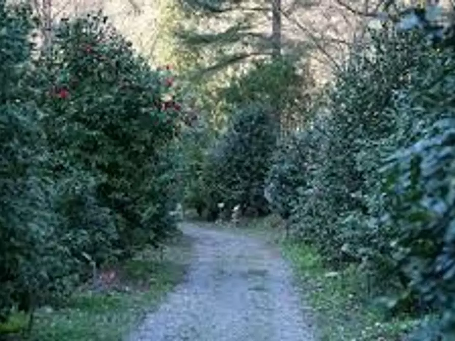 Immagine 16 di Villa in vendita  a Capannori