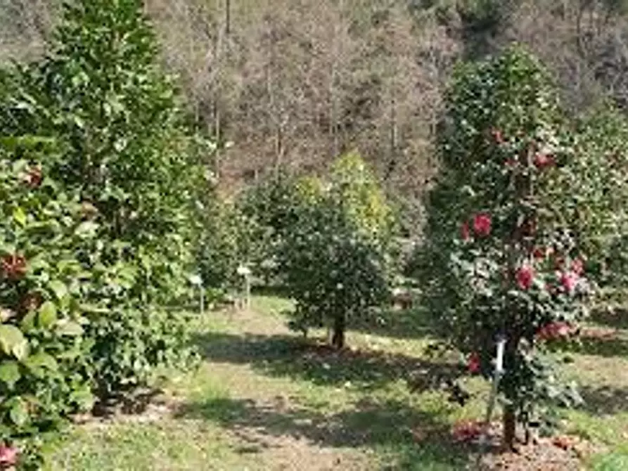 Immagine 30 di Villa in vendita  a Capannori