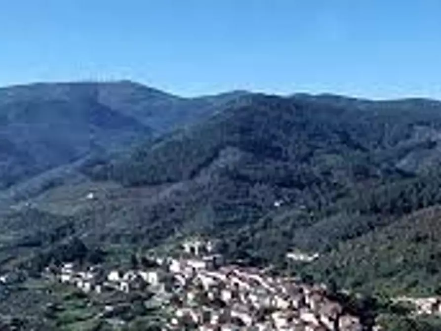 Immagine 8 di Villa in vendita  a Capannori