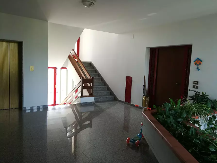 Immagine 3 di Appartamento in vendita  a Altopascio