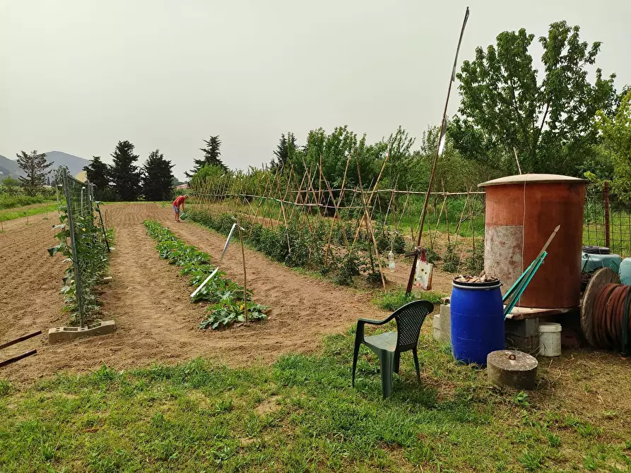 Immagine 4 di Terreno agricolo in vendita  a San Giuliano Terme