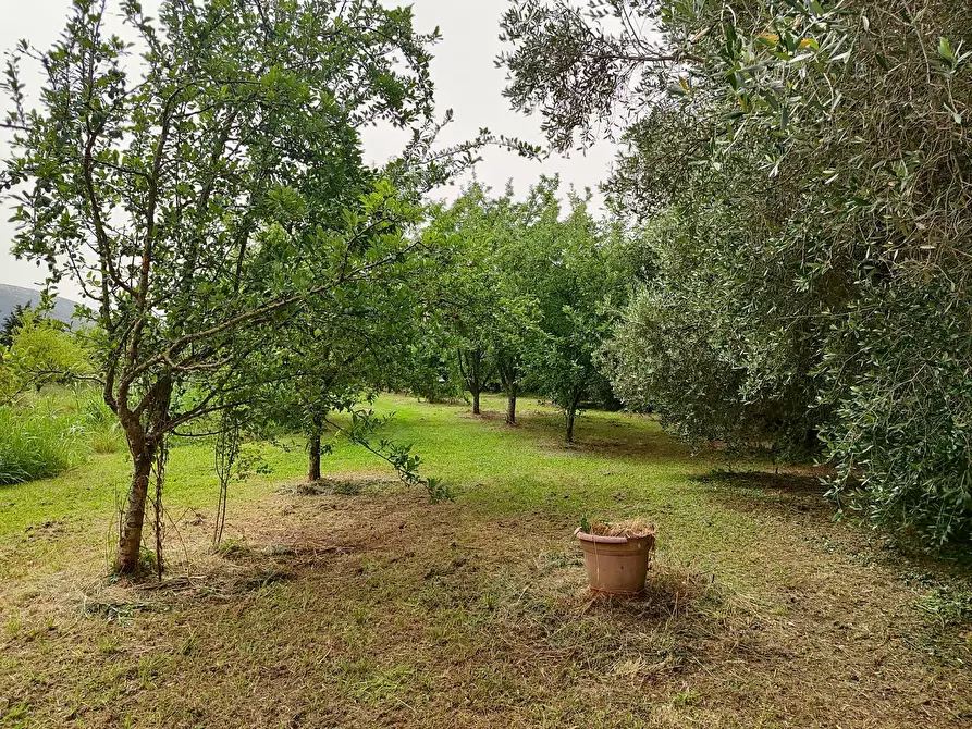 Immagine 10 di Terreno agricolo in vendita  a San Giuliano Terme