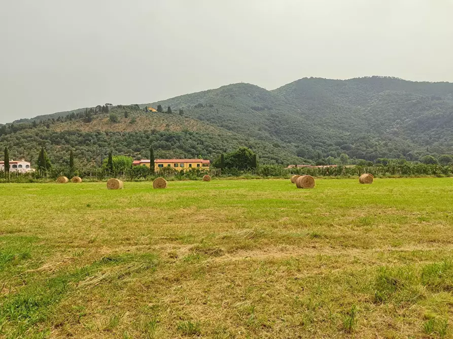 Immagine 2 di Terreno agricolo in vendita  a San Giuliano Terme