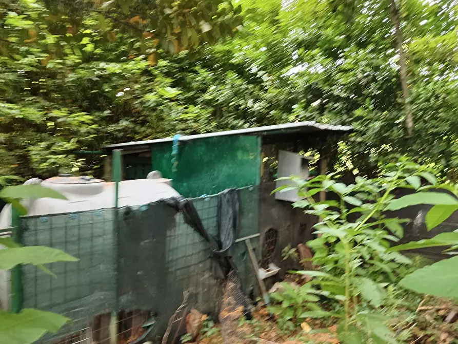 Immagine 13 di Terreno agricolo in vendita  a San Giuliano Terme