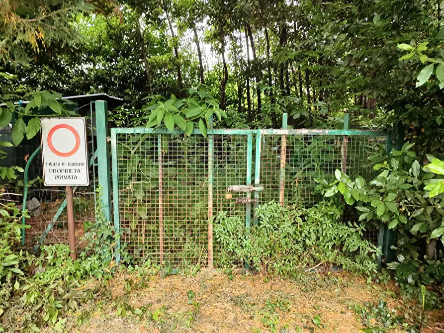 Immagine 12 di Terreno agricolo in vendita  a San Giuliano Terme