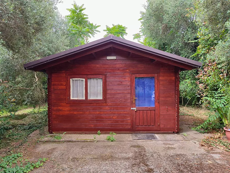 Immagine 5 di Terreno agricolo in vendita  a San Giuliano Terme