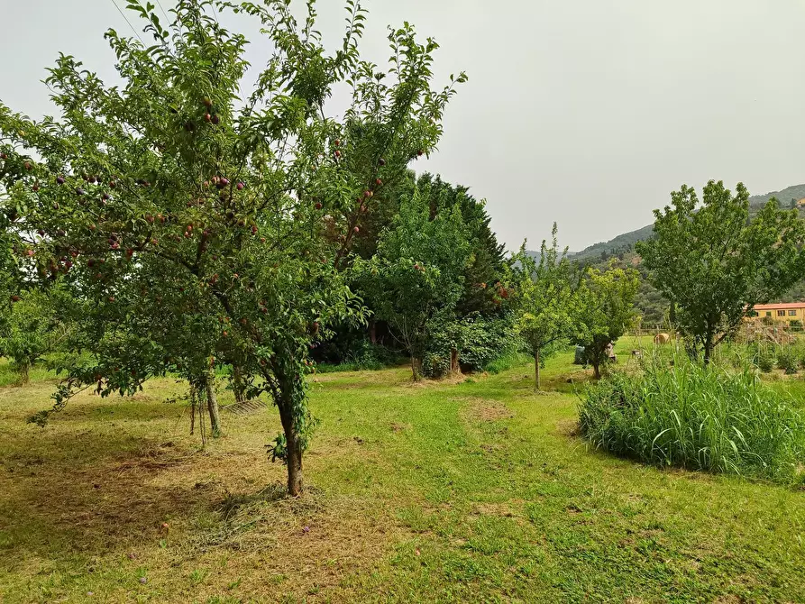 Immagine 9 di Terreno agricolo in vendita  a San Giuliano Terme