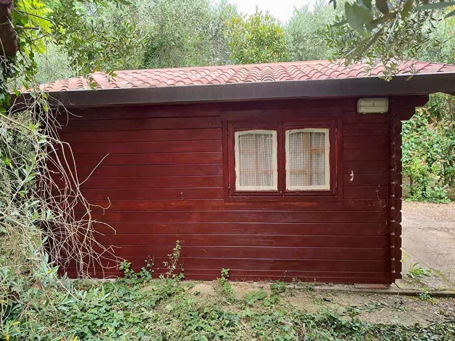 Immagine 6 di Terreno agricolo in vendita  a San Giuliano Terme