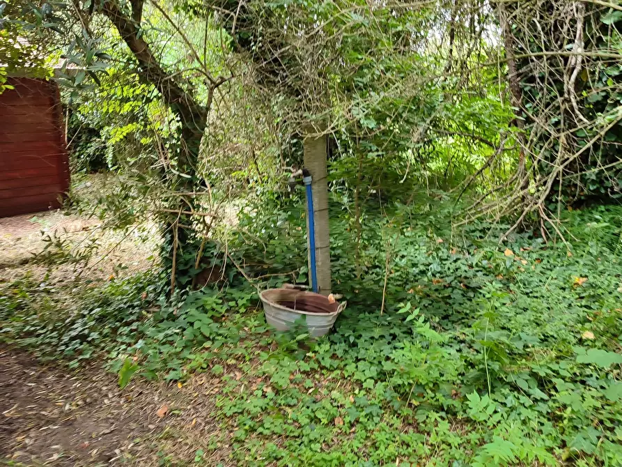 Immagine 7 di Terreno agricolo in vendita  a San Giuliano Terme