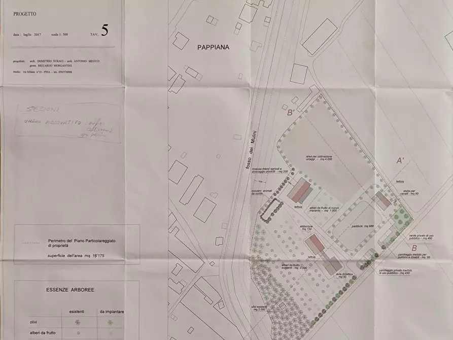 Immagine 14 di Terreno agricolo in vendita  a San Giuliano Terme