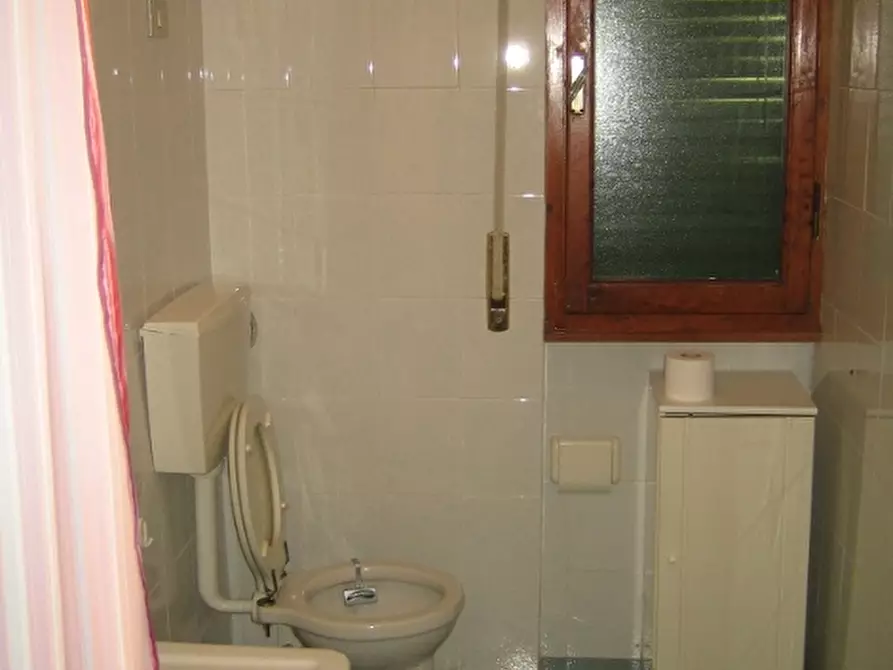 Immagine 5 di Villa in affitto  a Pisa