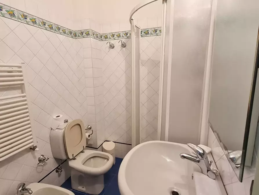Immagine 22 di Appartamento in affitto  a Viareggio