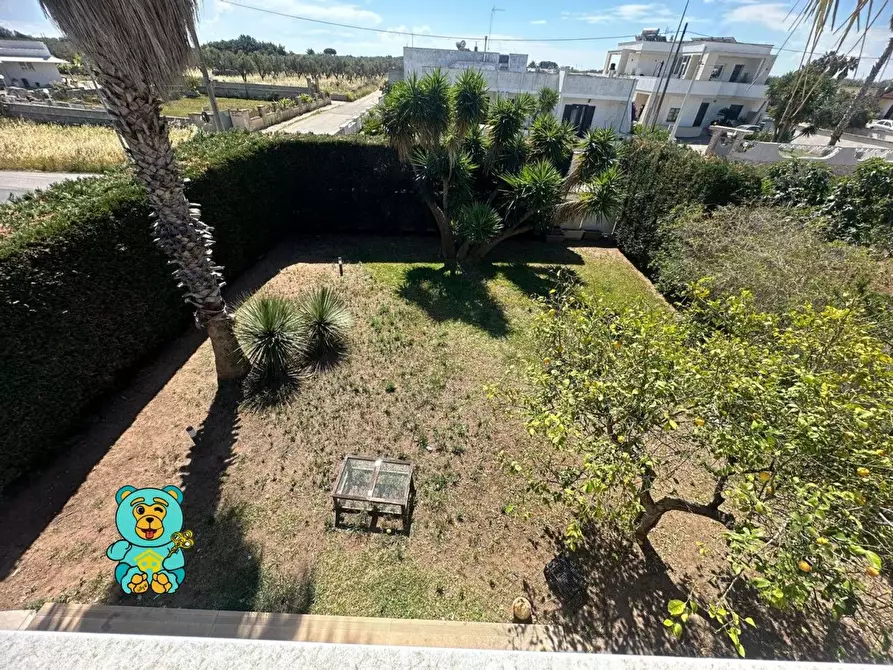 Immagine 49 di Villa in vendita  a Melendugno