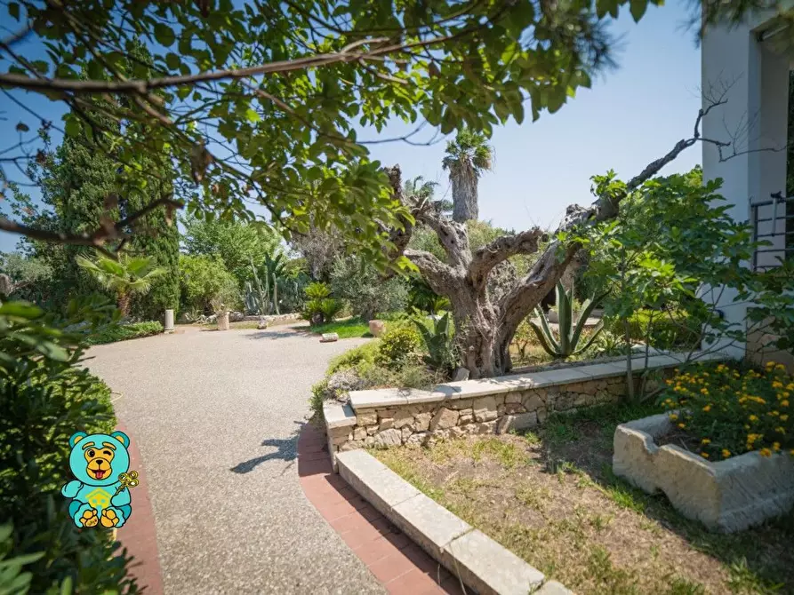 Immagine 15 di Villa in vendita  a Lizzanello