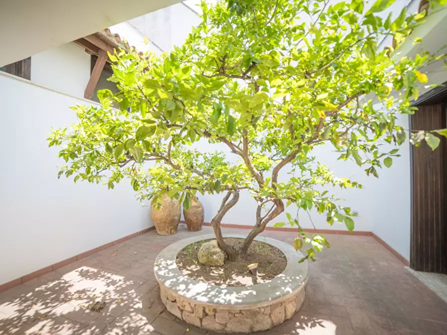 Immagine 63 di Villa in vendita  a Lizzanello