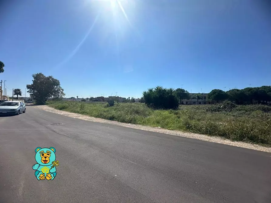 Immagine 8 di Terreno residenziale in vendita  a Cavallino