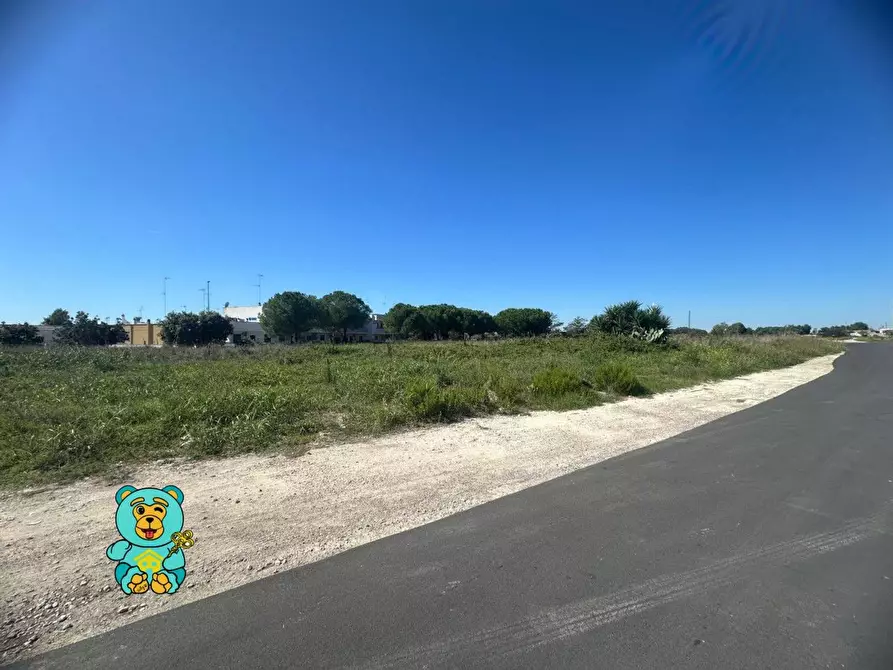 Immagine 5 di Terreno residenziale in vendita  a Cavallino