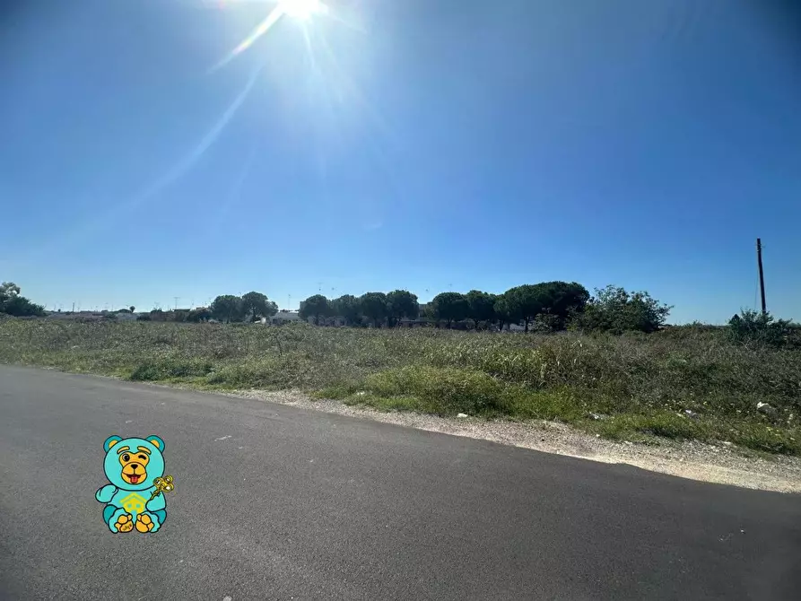 Immagine 14 di Terreno residenziale in vendita  a Cavallino