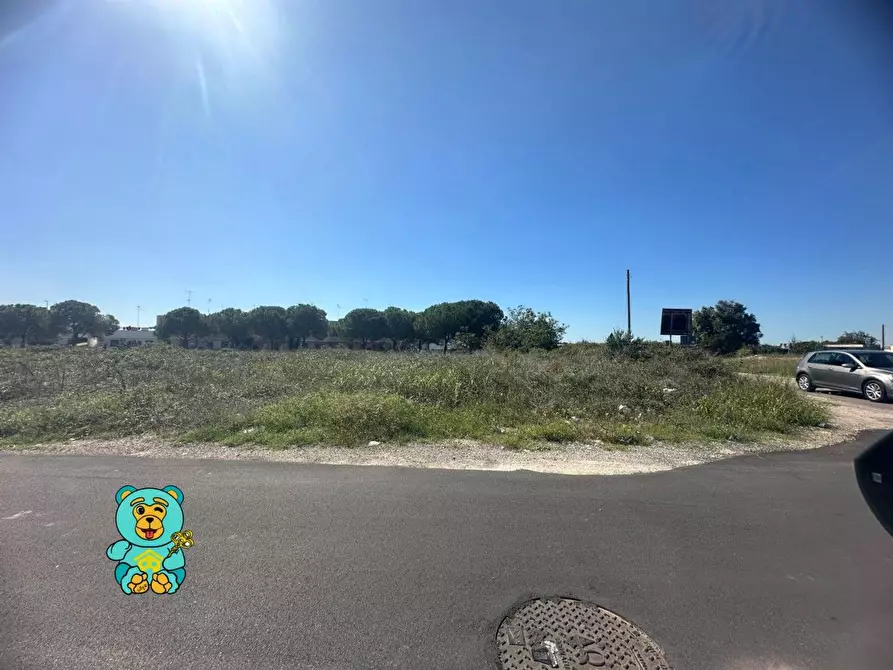 Immagine 13 di Terreno residenziale in vendita  a Cavallino