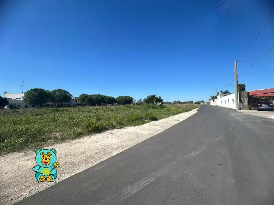 Immagine 4 di Terreno residenziale in vendita  a Cavallino