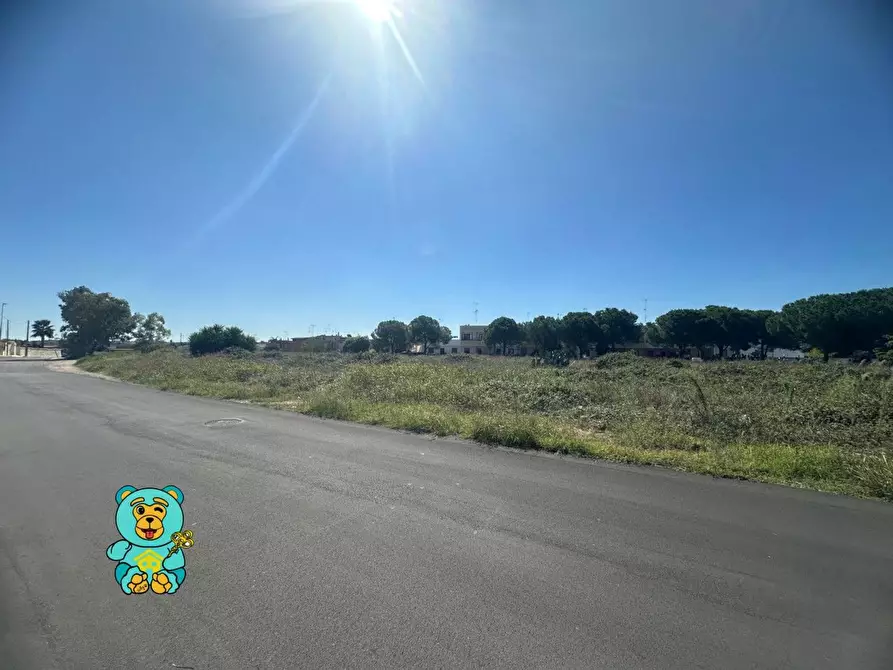 Immagine 12 di Terreno residenziale in vendita  a Cavallino