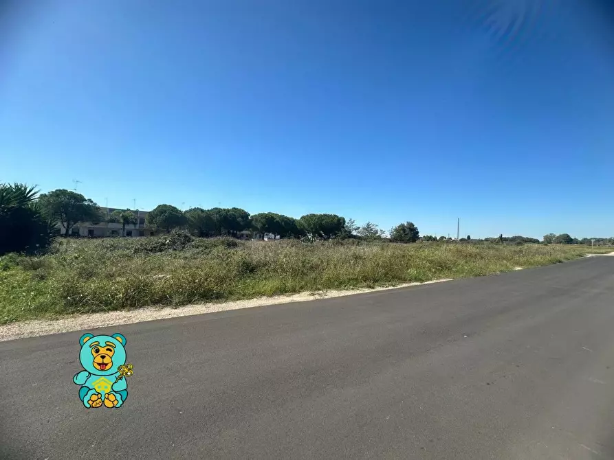 Immagine 6 di Terreno residenziale in vendita  a Cavallino