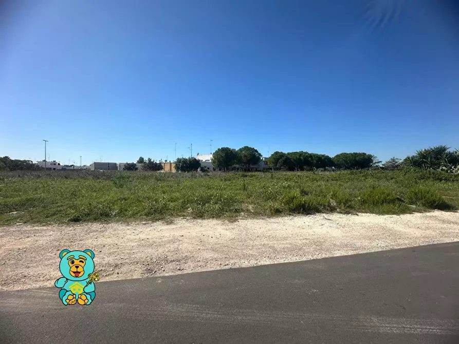 Immagine 3 di Terreno residenziale in vendita  a Cavallino