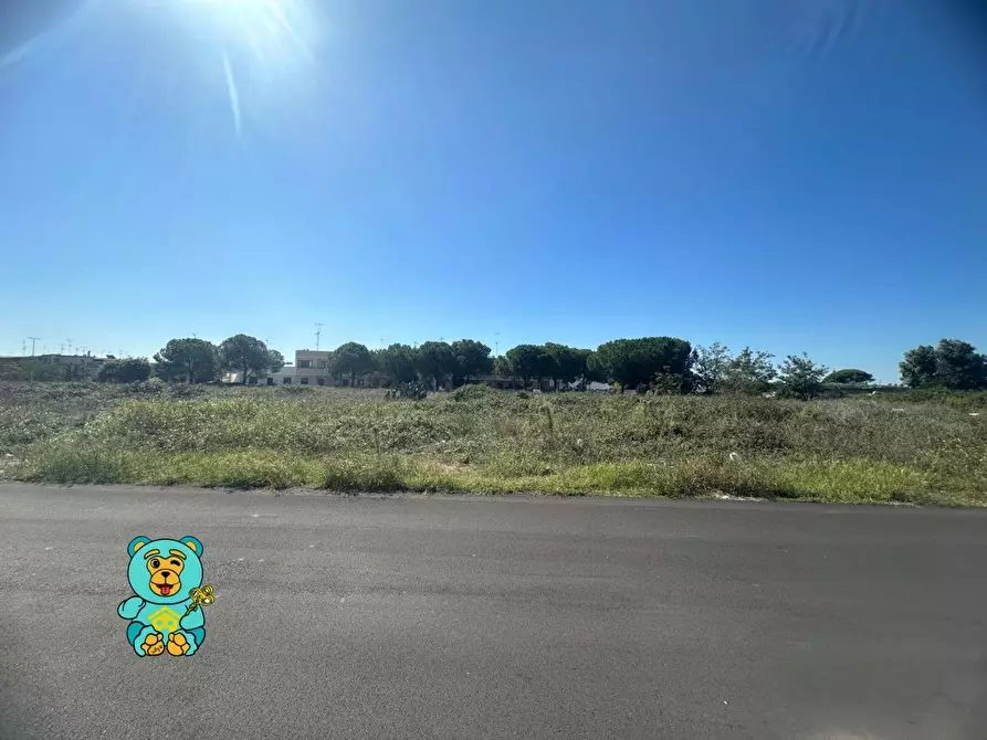 Immagine 11 di Terreno residenziale in vendita  a Cavallino