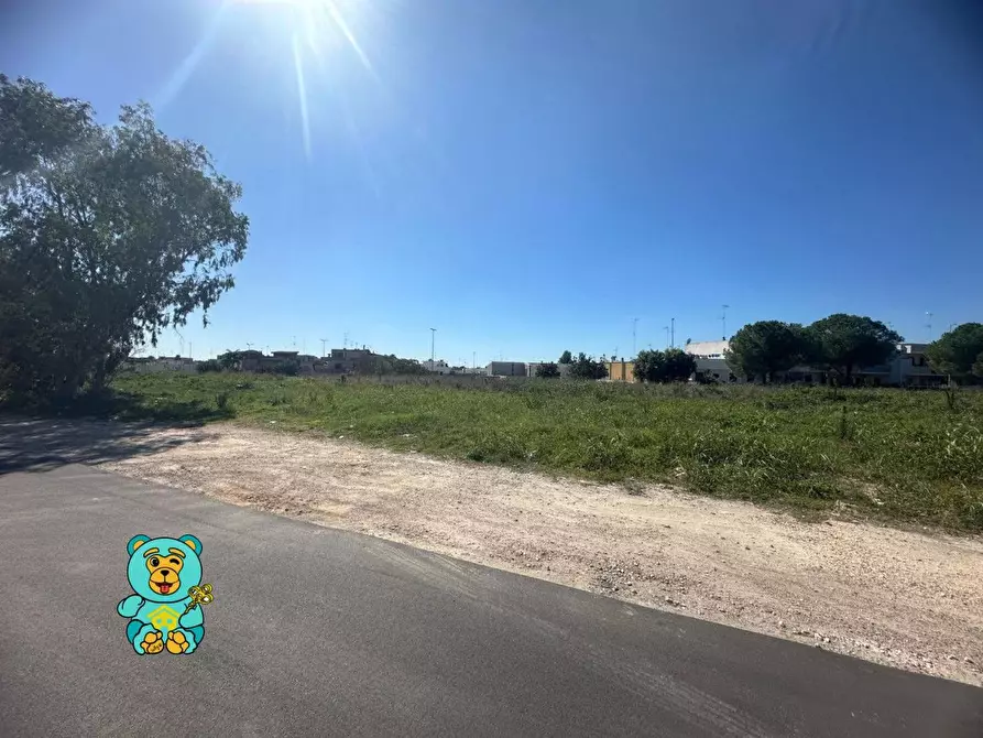 Immagine 2 di Terreno residenziale in vendita  a Cavallino