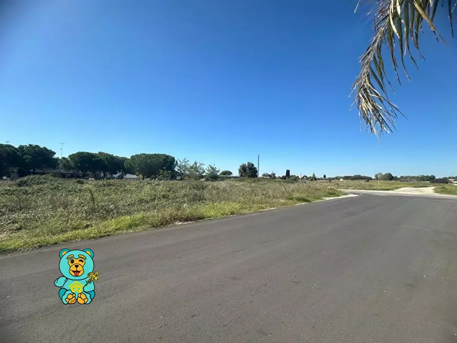 Immagine 10 di Terreno residenziale in vendita  a Cavallino