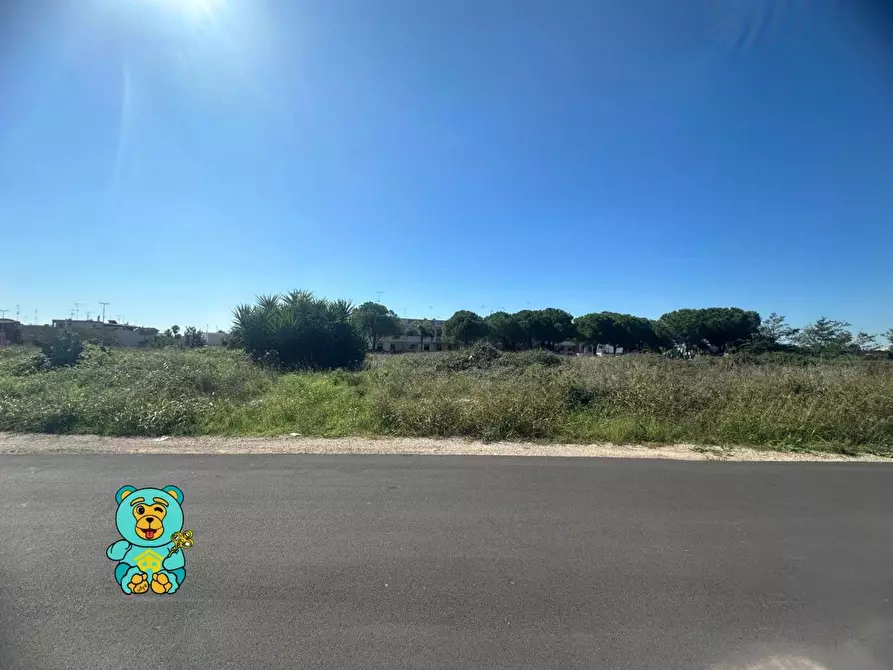 Immagine 7 di Terreno residenziale in vendita  a Cavallino