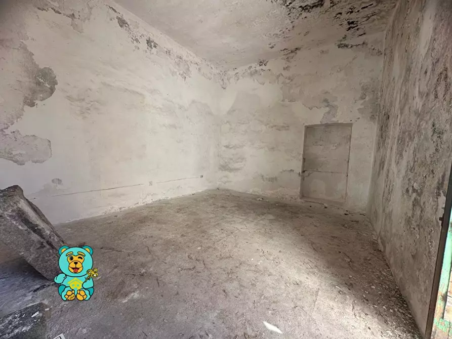 Immagine 8 di Appartamento in vendita  a Matino