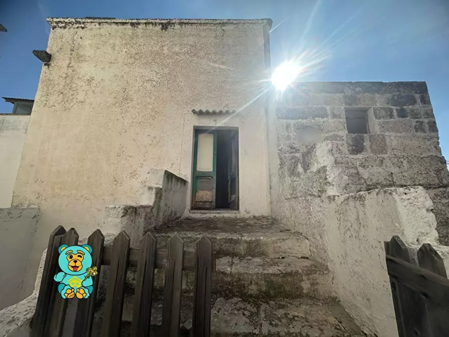 Immagine 13 di Appartamento in vendita  a Matino