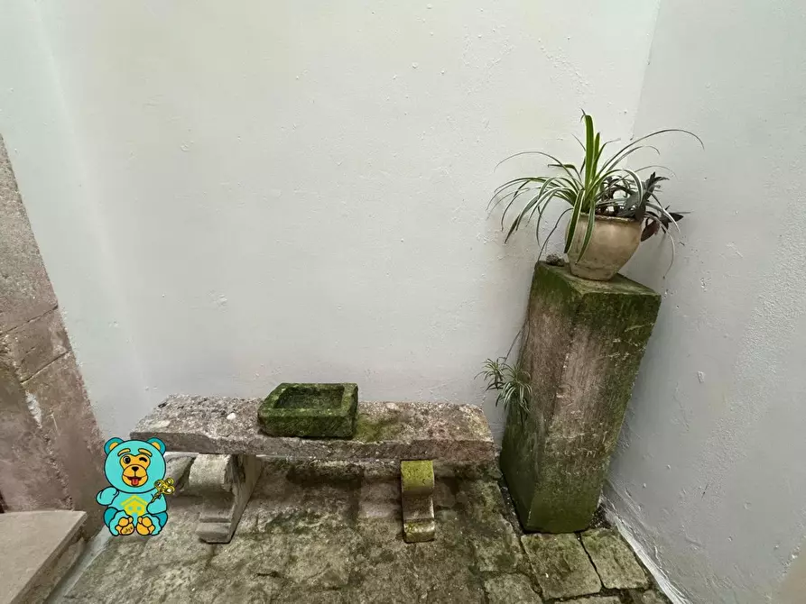 Immagine 77 di Palazzo in vendita  a Soleto