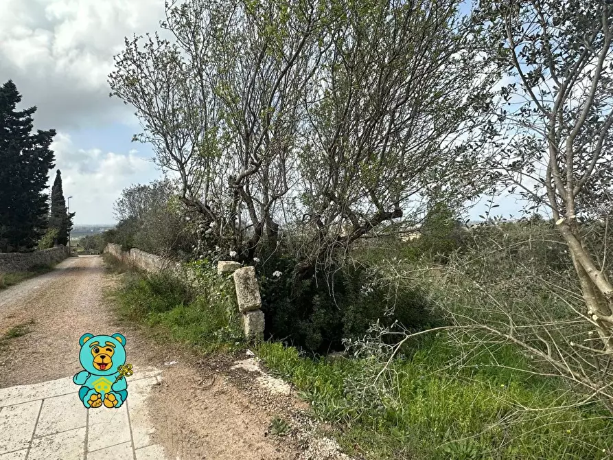 Immagine 5 di Terreno residenziale in vendita  a Parabita