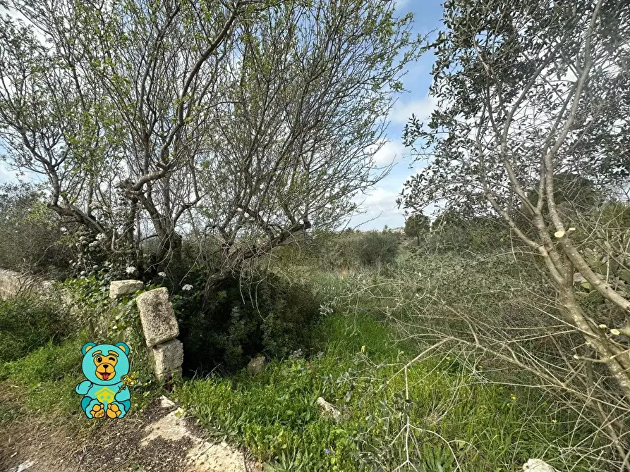 Immagine 9 di Terreno residenziale in vendita  a Parabita