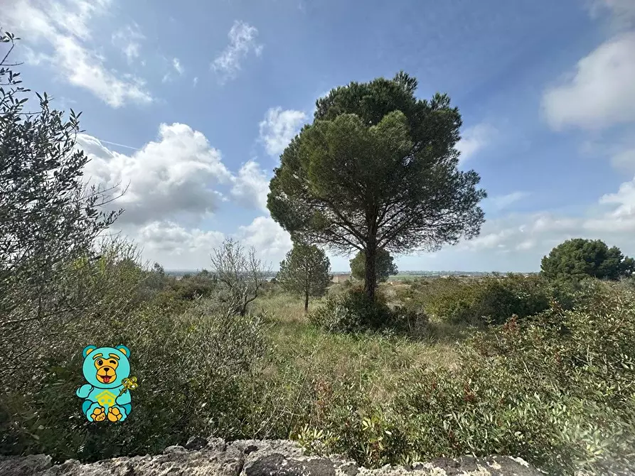 Immagine 2 di Terreno residenziale in vendita  a Parabita