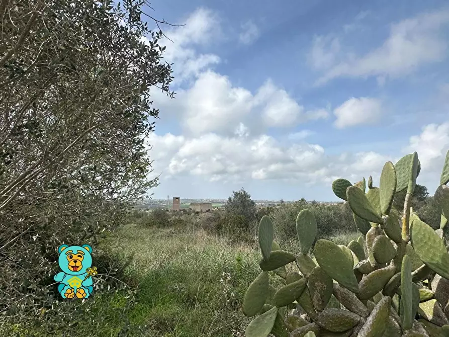 Immagine 6 di Terreno residenziale in vendita  a Parabita