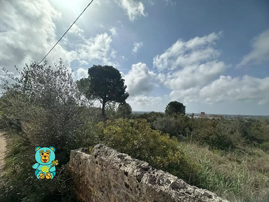 Immagine 8 di Terreno residenziale in vendita  a Parabita